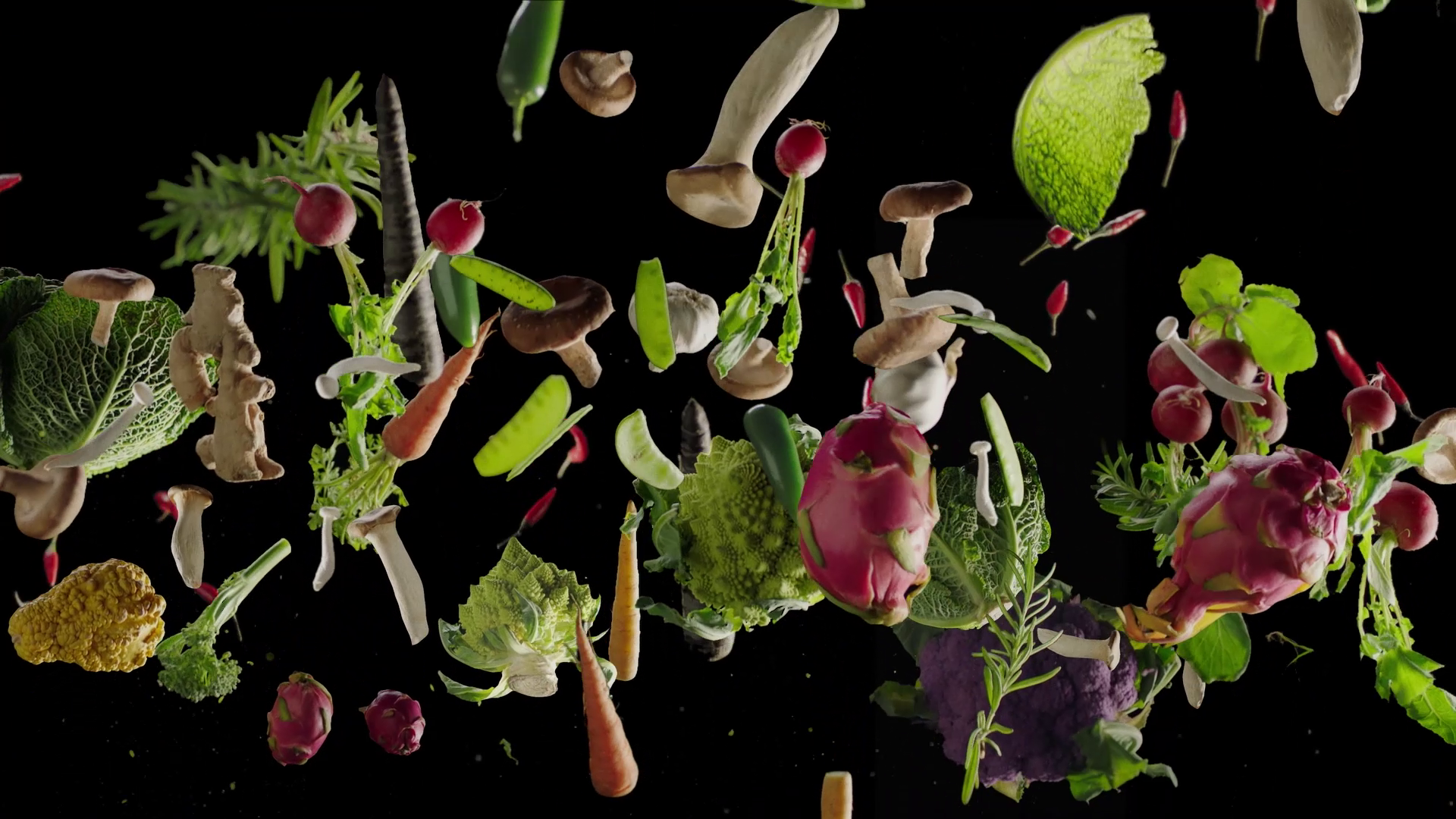 FOOD REEL